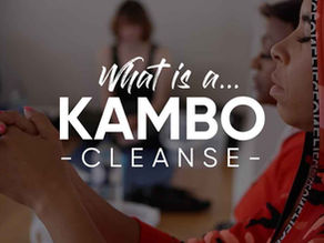What is a Kambo Cleanse?