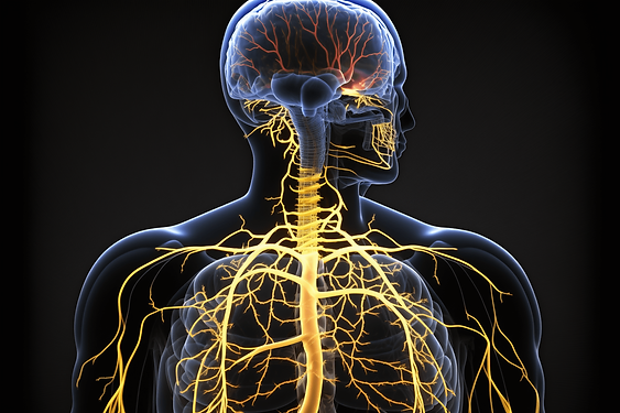 Pissedoffjoe_a_central_nervous_system_with_electricity_running__95a87813-1c61-4c8d-8e3f-41