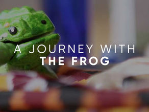 The 7 Steps to Becoming a Kambo Practitioner