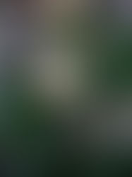 The Importance of Photography in an AI-Driven World