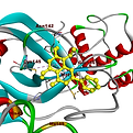 7adf9b128971143.6160fb42cdad5.png