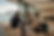 D9C2E43B-B894-4795-BCB7-FD6E44D83C46.png