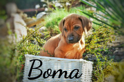 16-04-19-08-56-27-093_deco