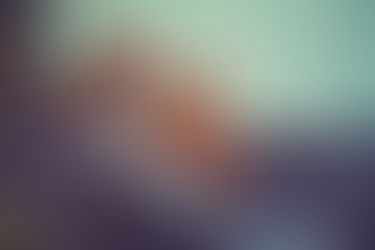 aktuelle Bilder unserer Bande