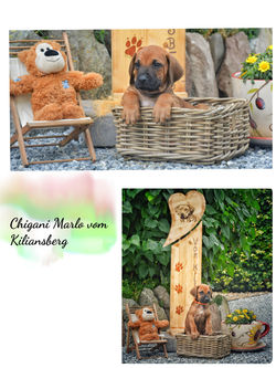 17-06-28-12-18-44-812_deco