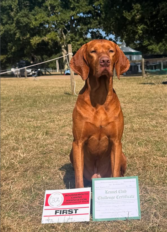 Oskar at Listerlo looking proud