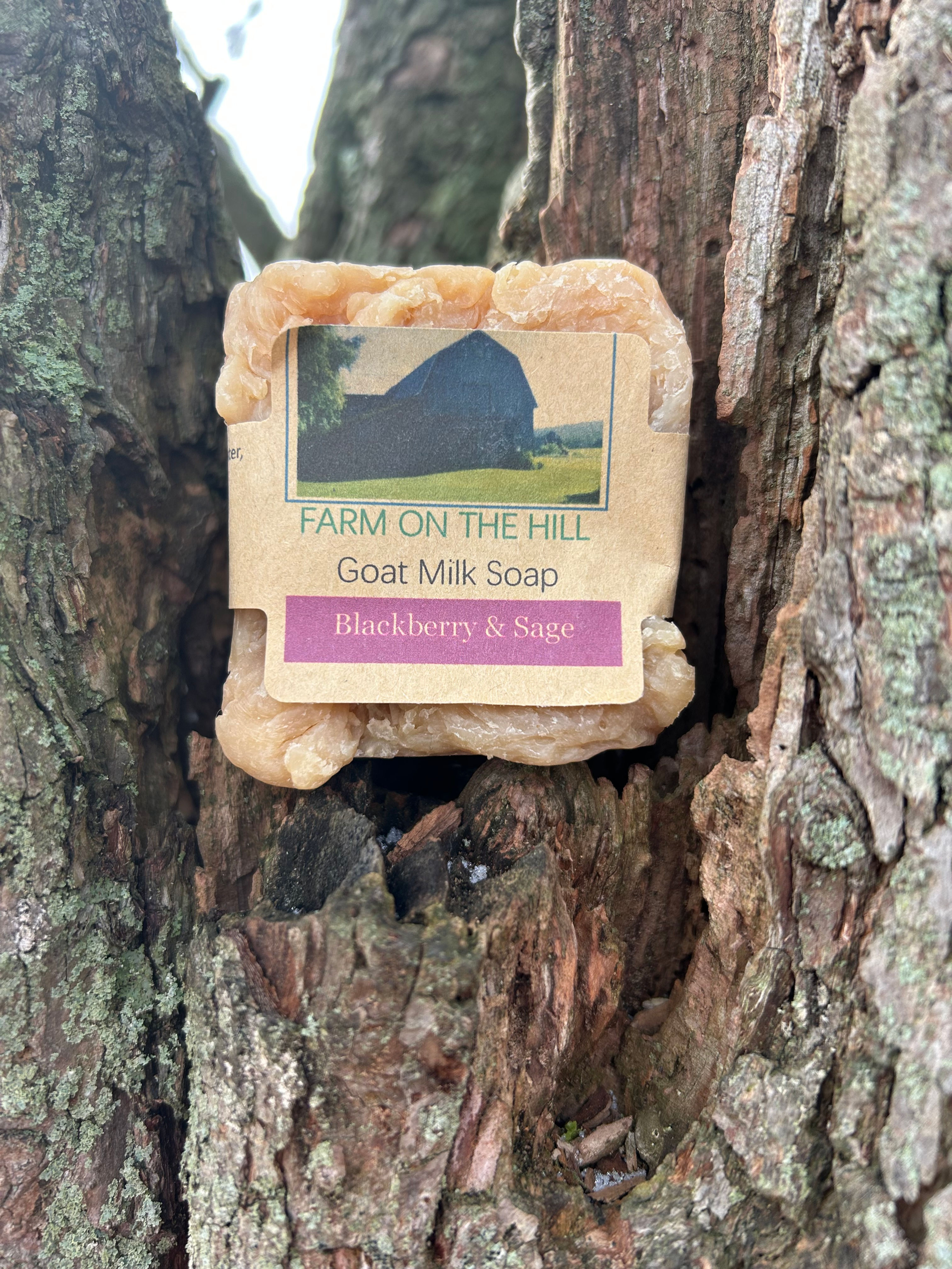 Farm On The Hill Hume Blackberry Sage Goat Milk Soap