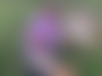 Free give-away!!!!!!!