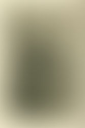 Women Theologians of the Reformation