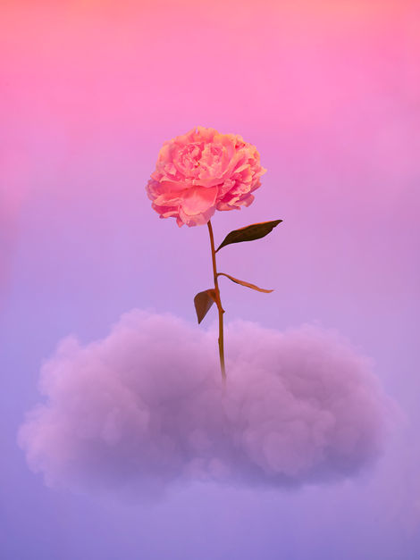Dreamland