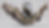 e02d9f77-d30d-4f7d-8d78-420875ea1f5d.png