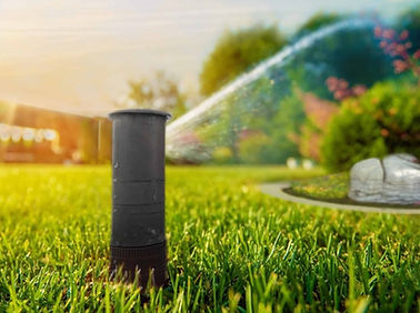 irrigation-photo--scaled.jpg