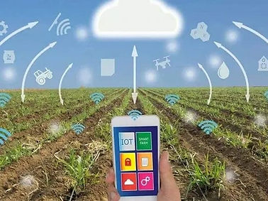 smart-irrigation-tech.jpg