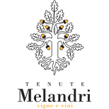 MELANDRI_logo.png