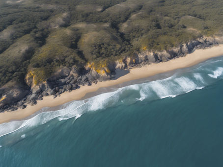 Discover the Latest Happenings in Agnes Water