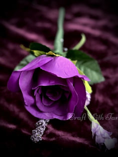 Boutonniere or Corsage