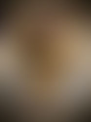 Sugar Cookie Magic Bars 