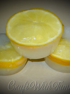 Lemon Ice Blocks