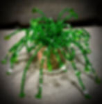 Beautiful Beaded Plant Gifts