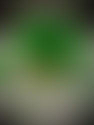 Beaded plant craft with handmade green leaves created from small glass beads and wire