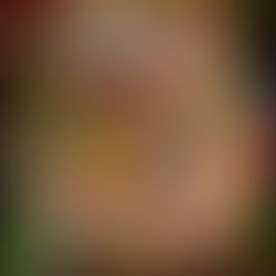 Colorful candy salad made with assorted gummy and sour candies in a large bowl