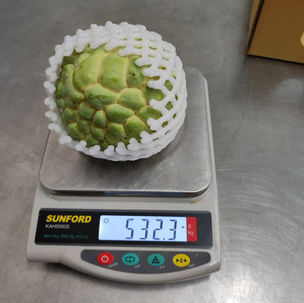 F001 - Custard apple pcs