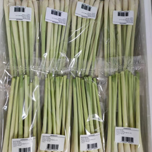 V008 - Lemongrass bag 250 gr