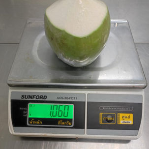F003 - Cococnut Green pcs