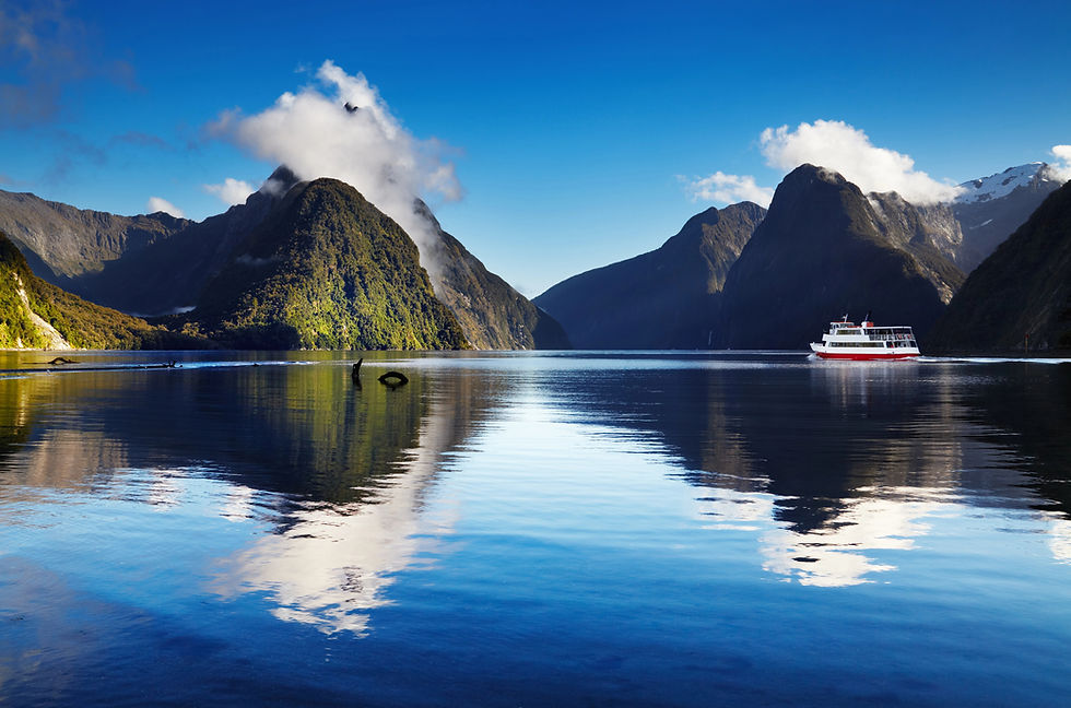 Your Milestone Birthday Trip to New Zealand: Farm Stays, Fjords & Once-in-a-Lifetime Memories