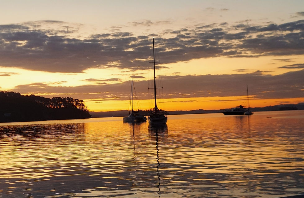Kawau Bay at sunset from the back deck of a boat