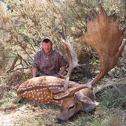 287 inch fallow buck with hunter