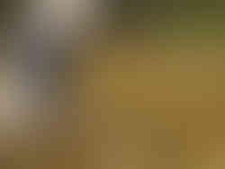 Man holding trout to release in river