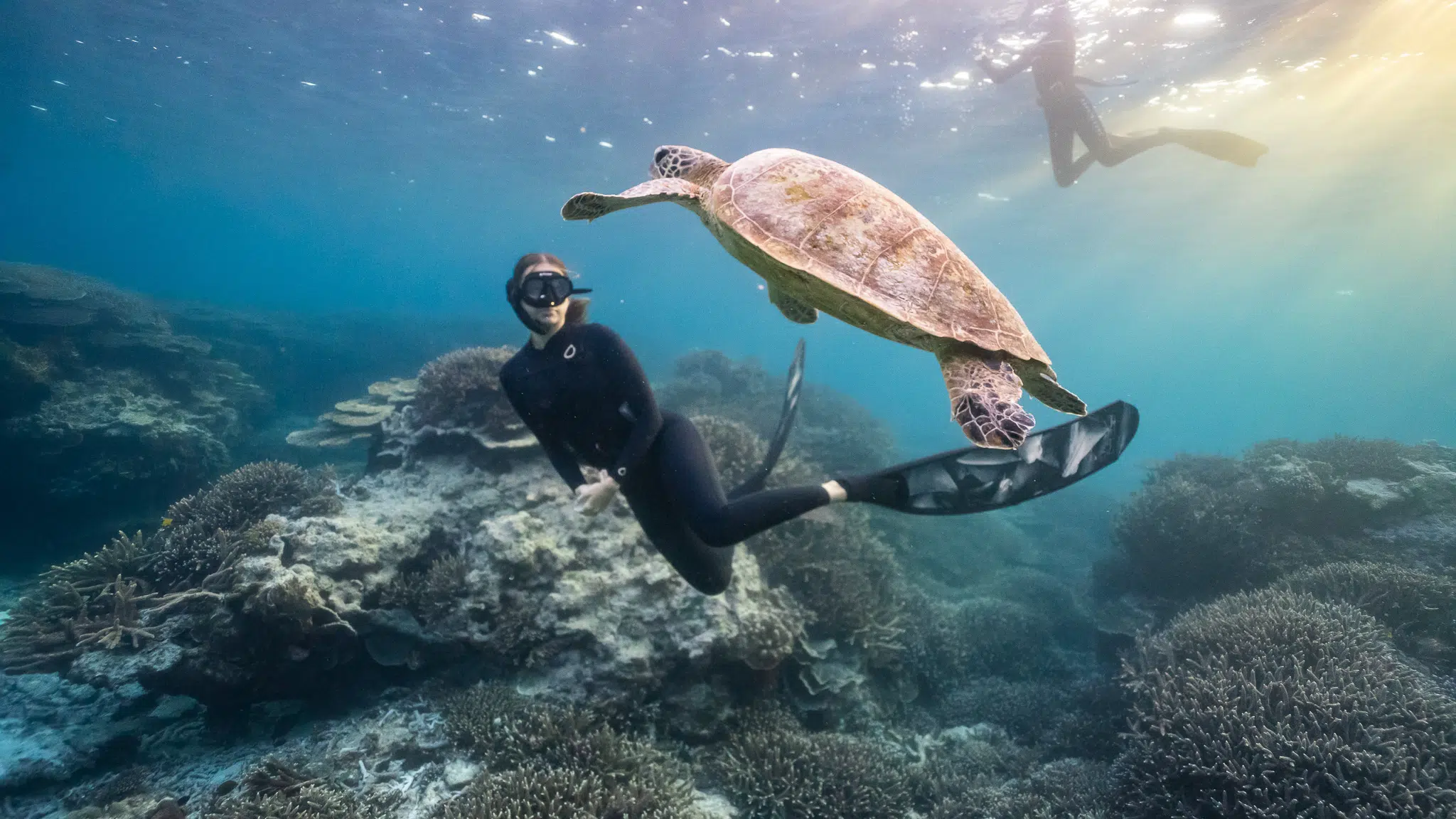 Exploring The Great Barrier Reef Snorkelling