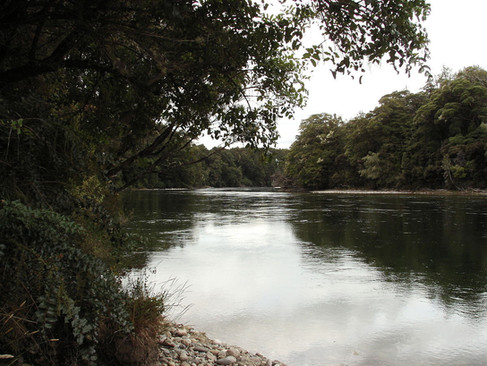 Waiau in Fiordland