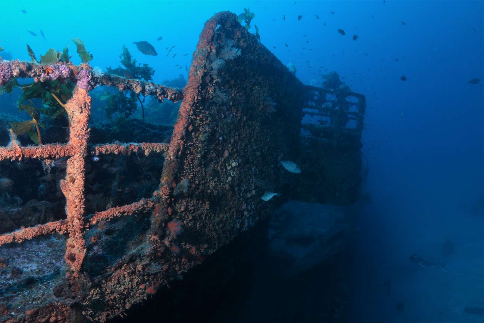 The Rainbow Warrior – Bay of Islands