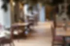 6e5a9682-copy.webp