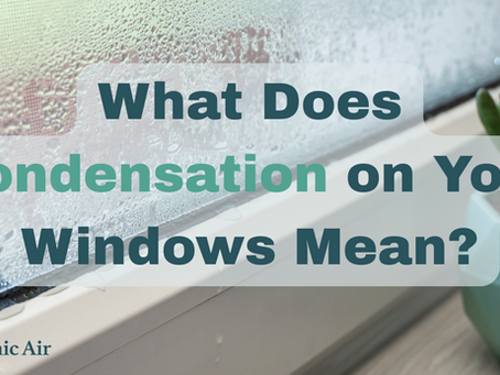 What Does Condensation on Your Windows Mean?