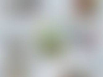 🌸池田所長のセンス🌸