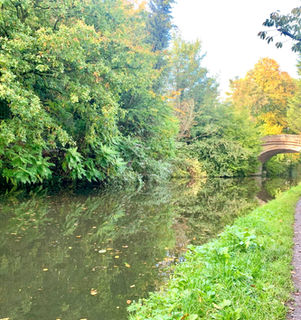 Bridgewater canal