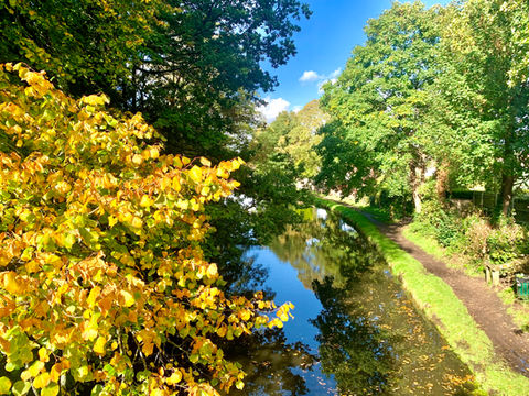 Bridgewater canal