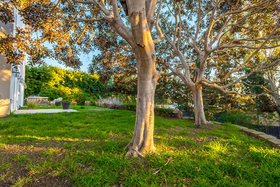 Dialectical Behavioral Therapy (DBT) in West Hollywood California