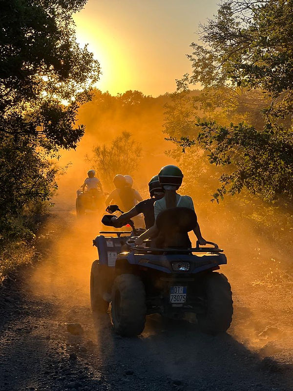 Parco Faunistico Ibleo Un Santuario Di Animali A Siracusa Parco Faunistico Ibleo Un Santuario Di Animali A Siracusa