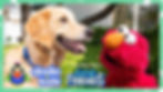Dodo x Sesame Street