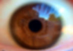  an eyeball with a brown iris and a black pupil