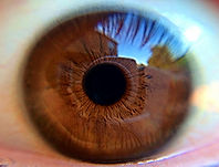 Close-up Eye Reflection