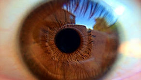 Weird but true facts about the human eye.