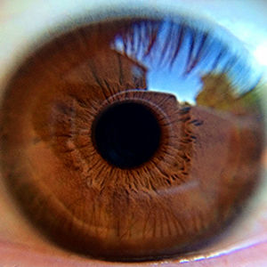 Close-up of a human brown eye with reflections of the surroundings.
