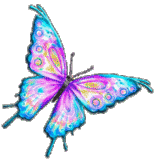 blue pink butterfly