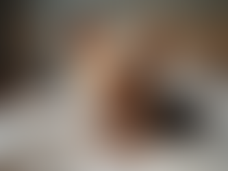 Yorkie Life Expectancy: What to Expect