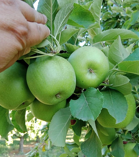 WhatsApp Image 2024-03-24 at 13.59.21.jpeg